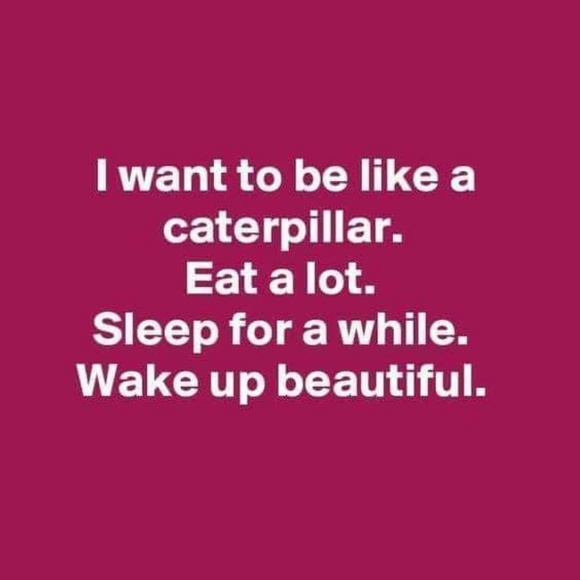 Meet your Posher, Laura - Picture 1 of 1